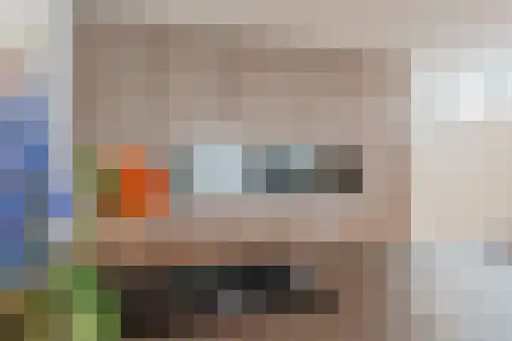 Zeglis 4 Alkmaar thumbnail 9