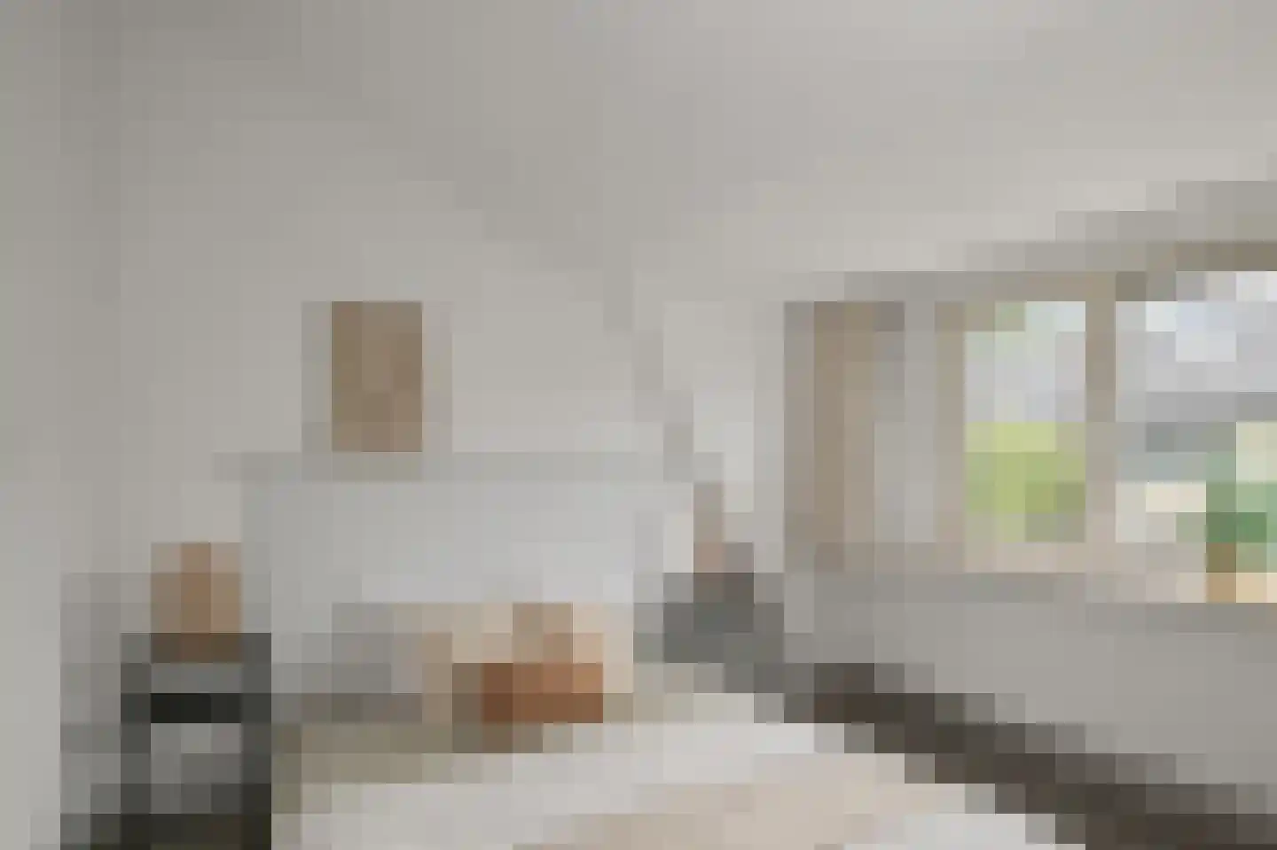Zeglis 45 Alkmaar thumbnail 14