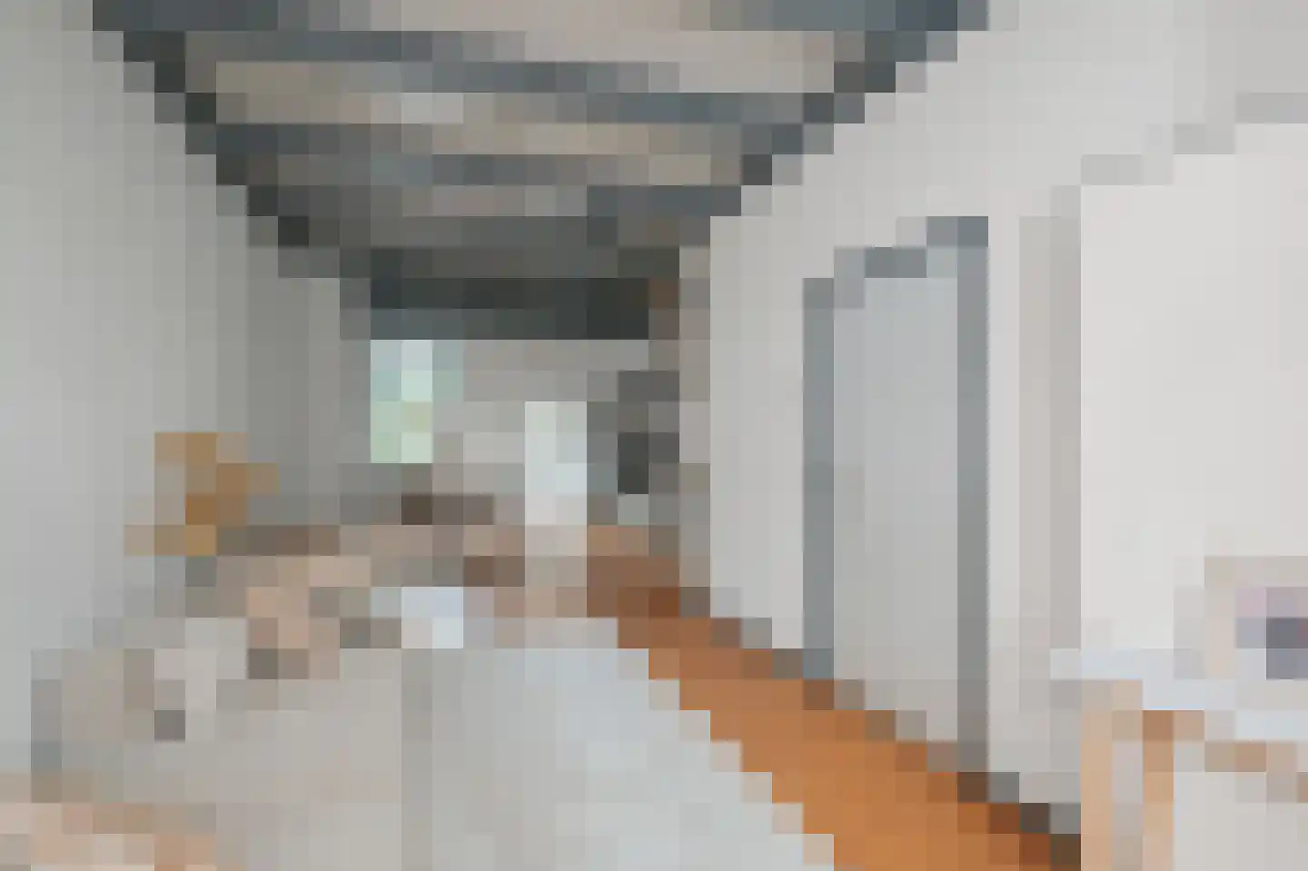 Zeglis 45 Alkmaar thumbnail 4