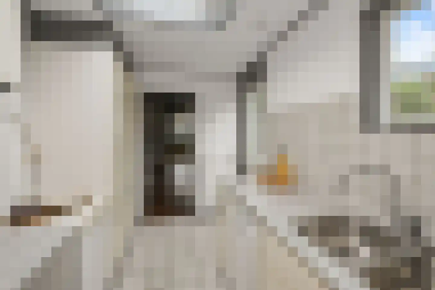 Zeglis 45 Alkmaar thumbnail 9