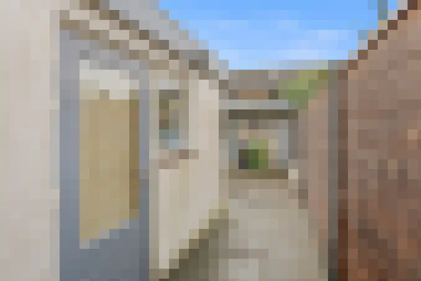 Zeglis 46 Alkmaar thumbnail 18