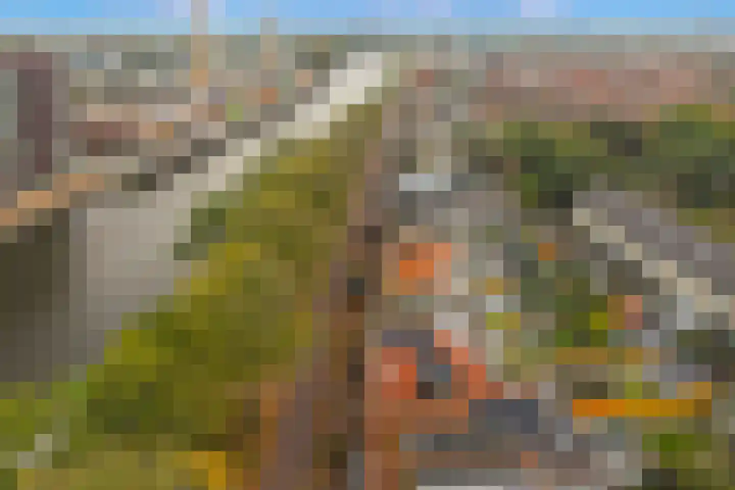 Zeglis 46 Alkmaar thumbnail 22