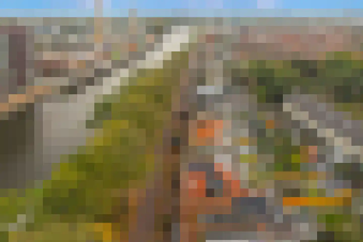 Zeglis 46 Alkmaar thumbnail 22