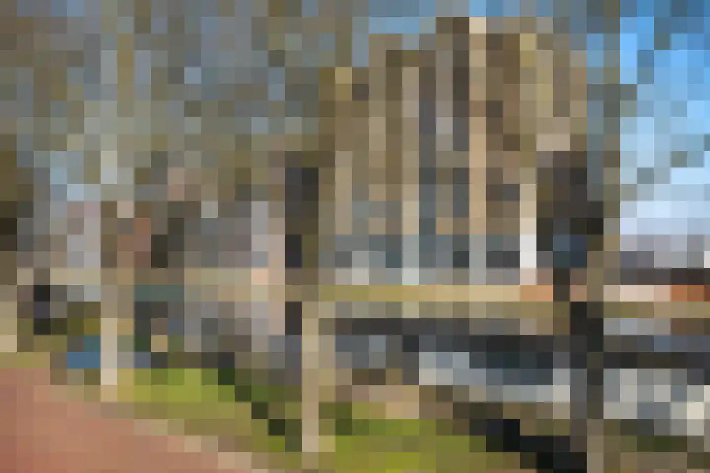 Zeglis 50 Alkmaar thumbnail 32