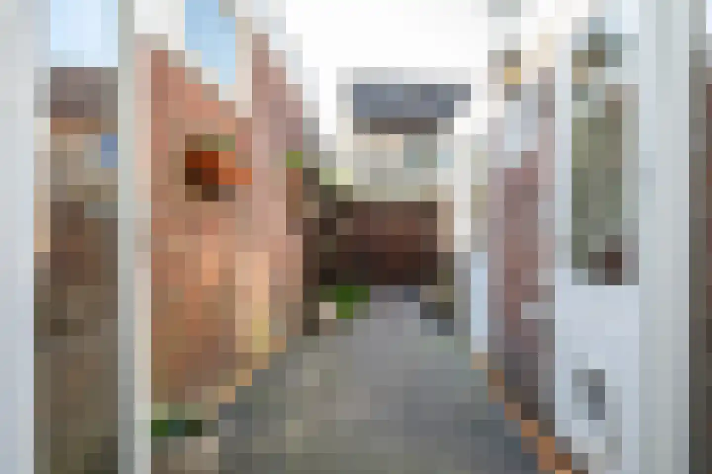 Zeglis 50 Alkmaar thumbnail 34