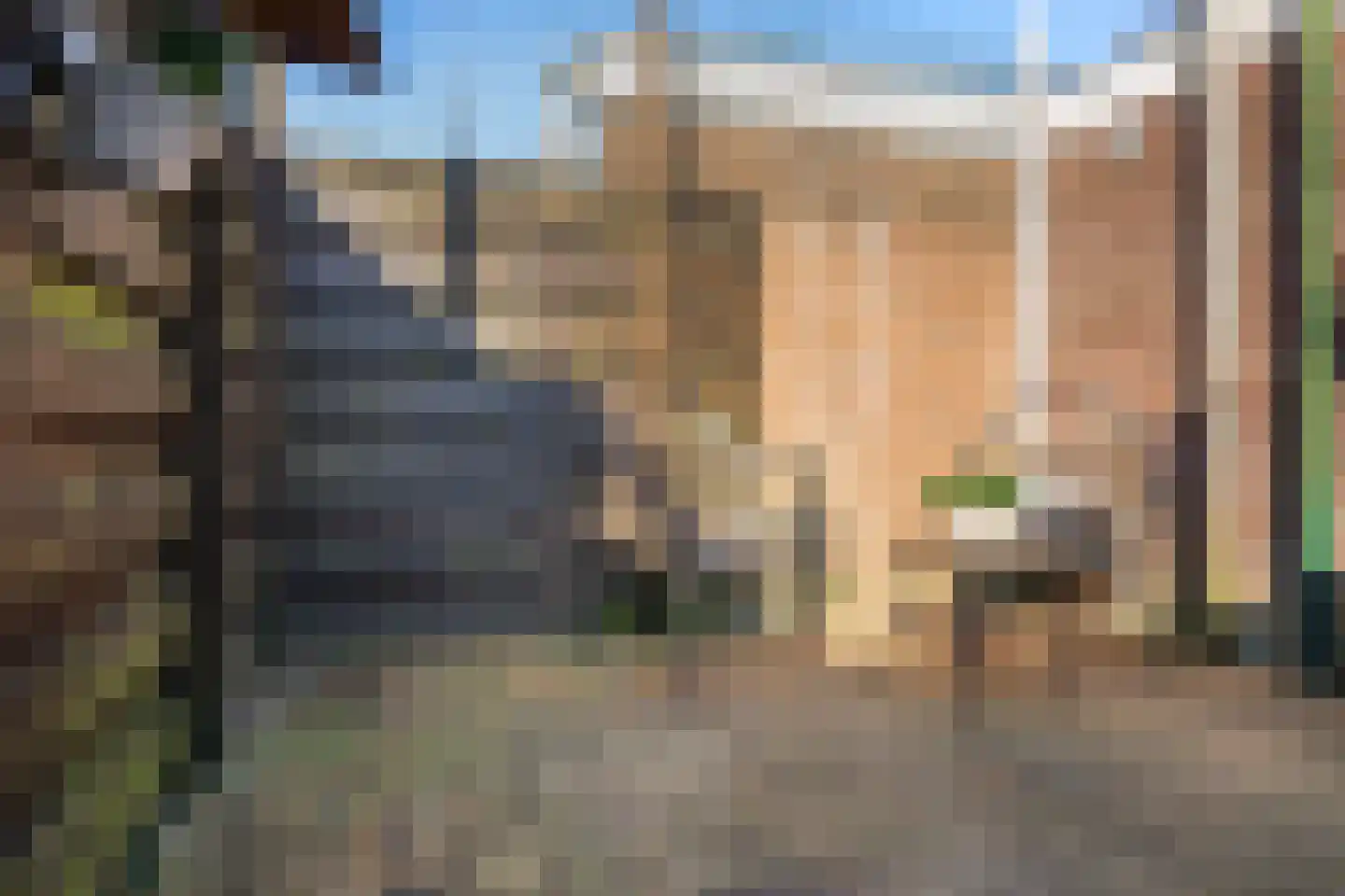 Zeglis 50 Alkmaar thumbnail 36