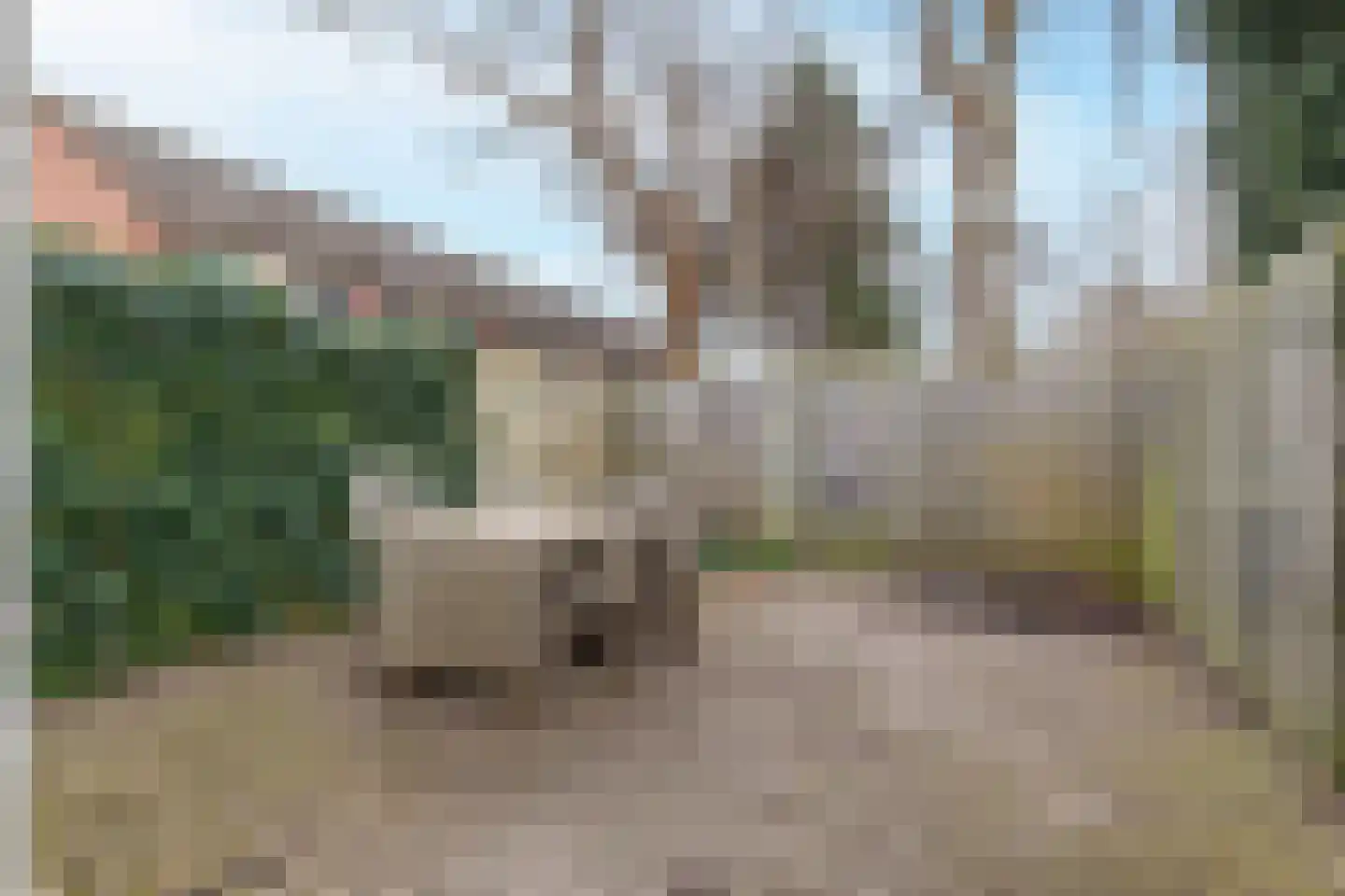 Zeglis 54 Alkmaar thumbnail 25