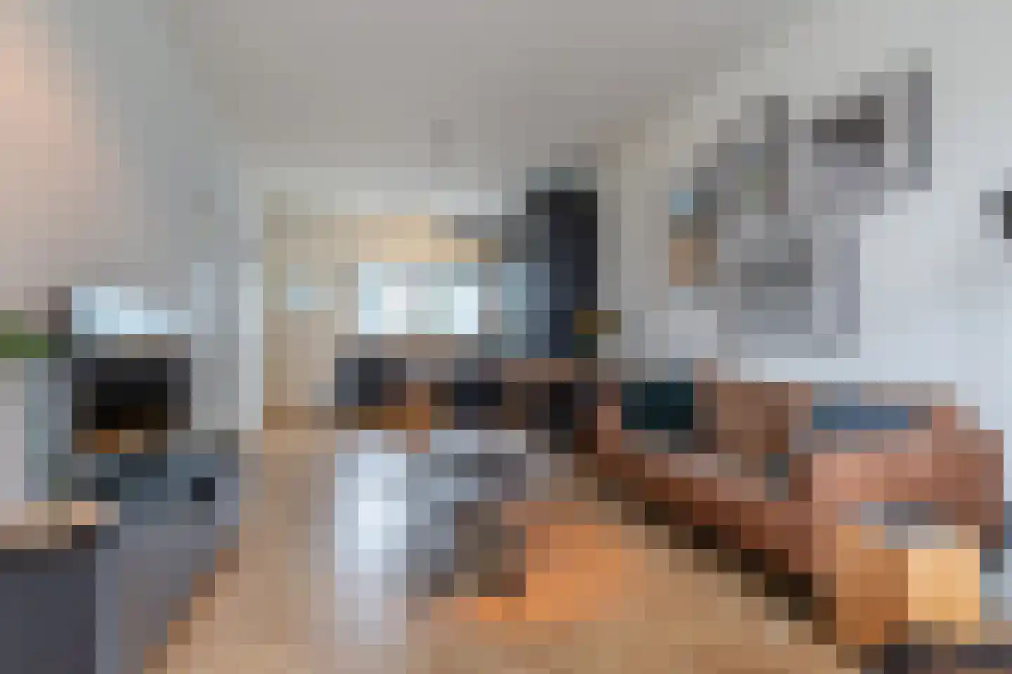 Zeglis 54 Alkmaar thumbnail 4