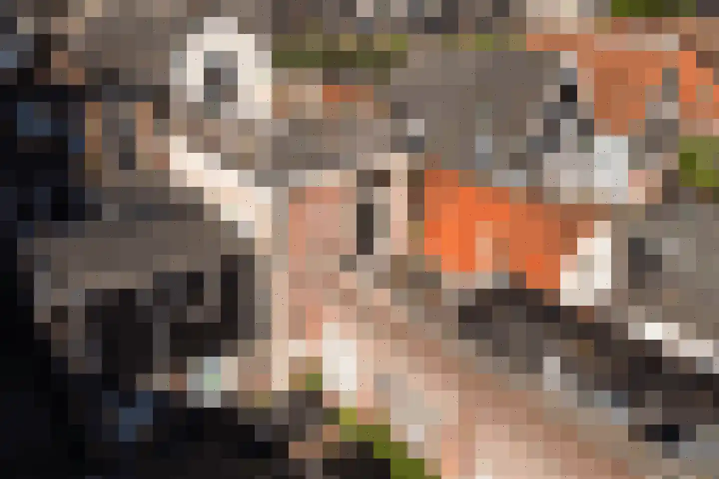 Zeglis 6 A Alkmaar thumbnail 19