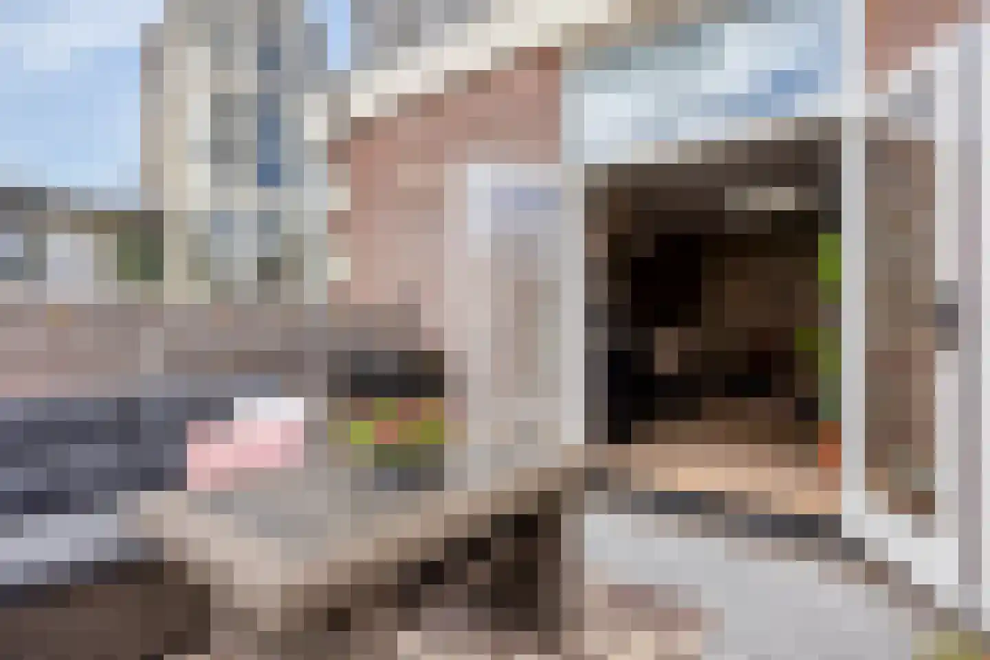 Zeglis 6 A Alkmaar thumbnail 21