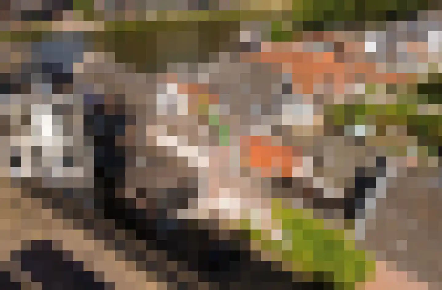 Zeglis 6 A Alkmaar thumbnail 4