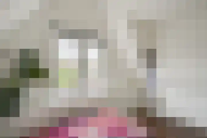 Zeglis 67 Alkmaar thumbnail 24