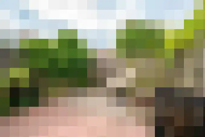 Zeglis 67 Alkmaar thumbnail 35
