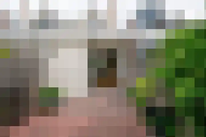 Zeglis 67 Alkmaar thumbnail 38
