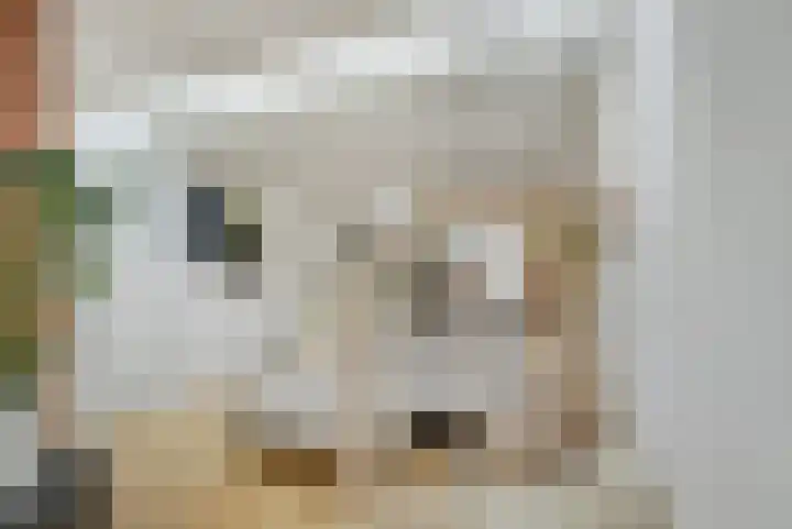 Zeglis 67 Alkmaar thumbnail 6