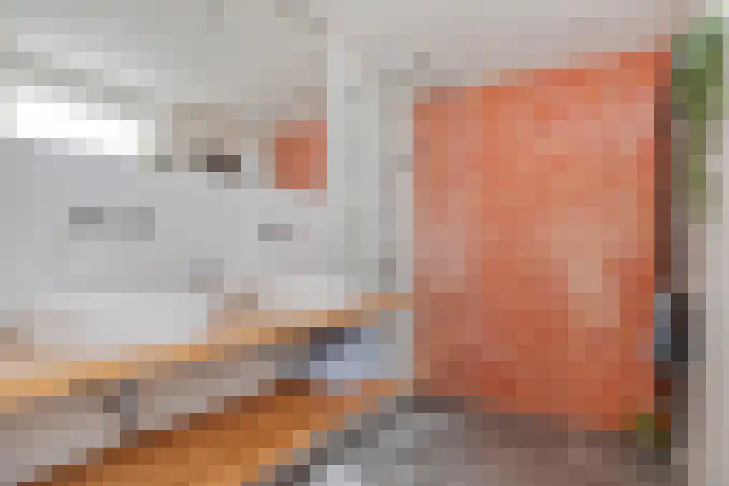 Zeglis 68 Alkmaar thumbnail 15