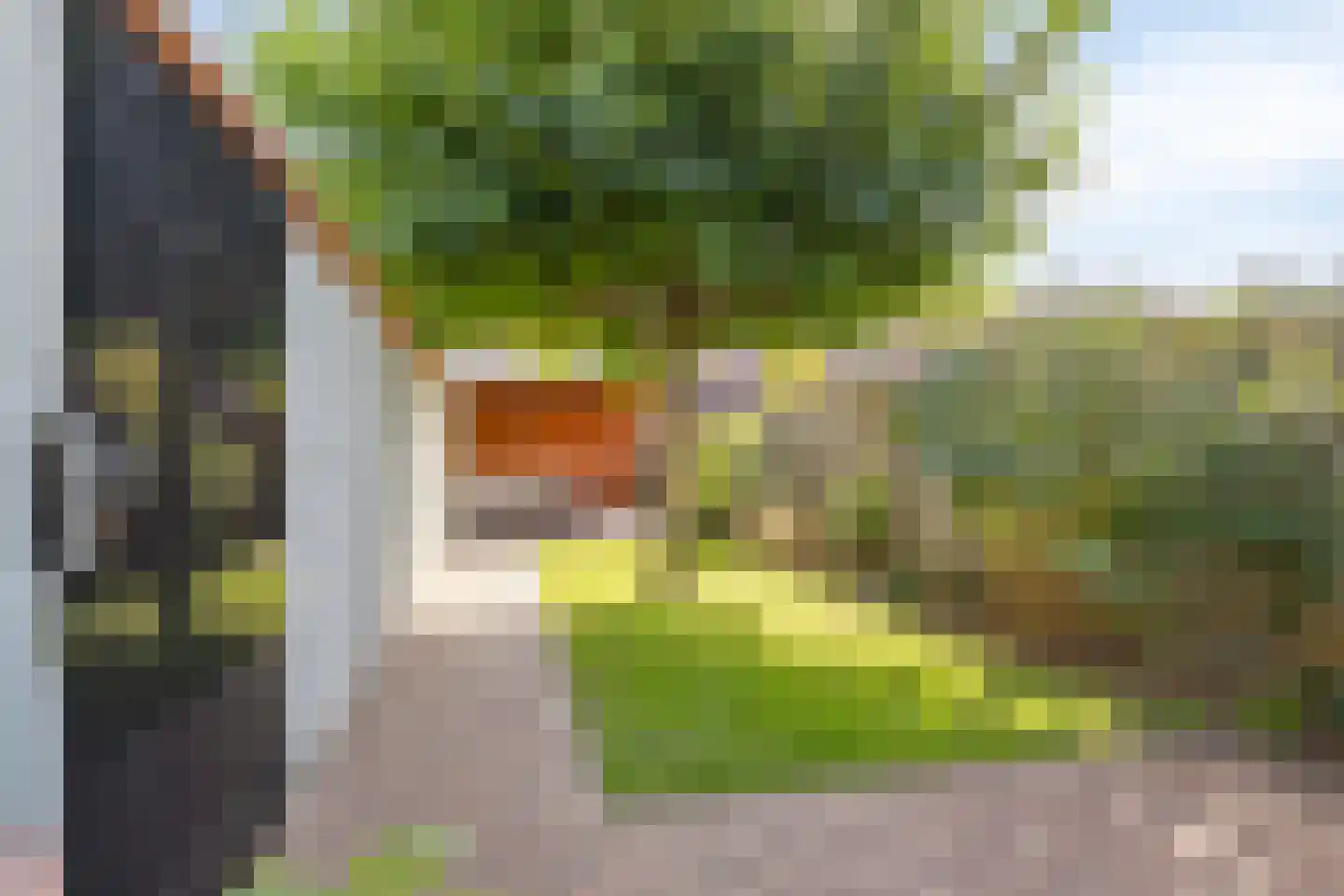 Zeglis 68 Alkmaar thumbnail 26