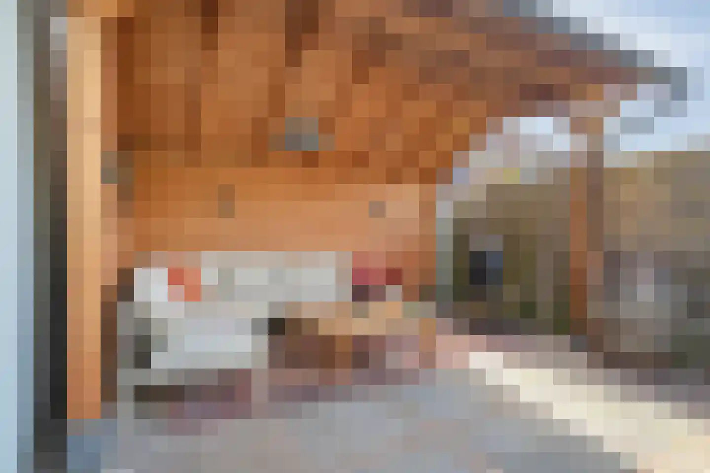 Zeglis 68 Alkmaar thumbnail 5