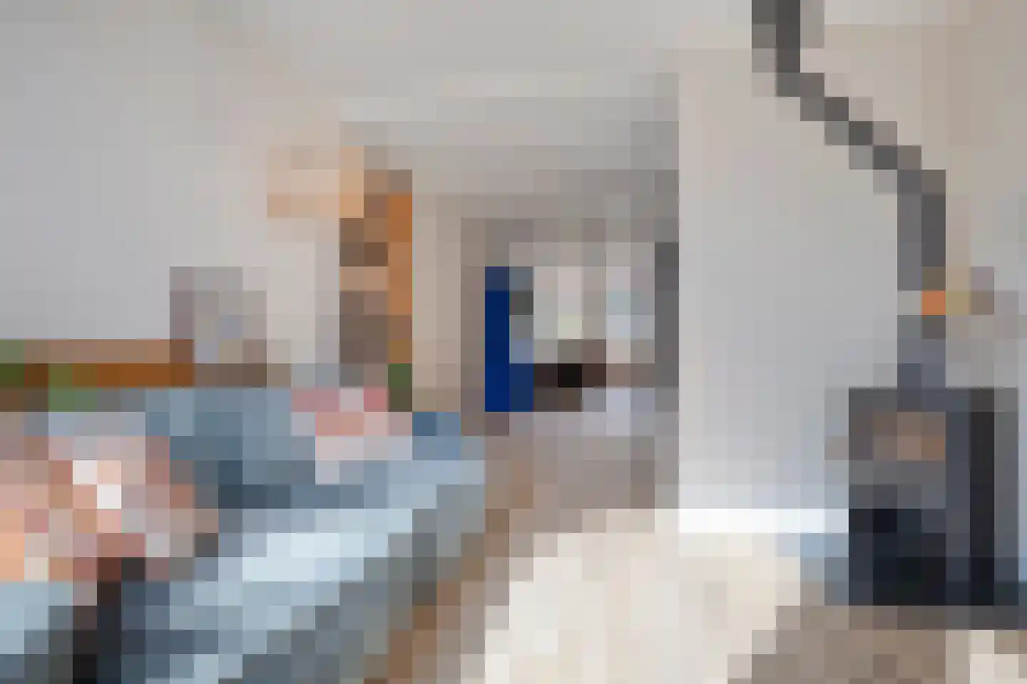 Zeglis 68 Alkmaar thumbnail 6