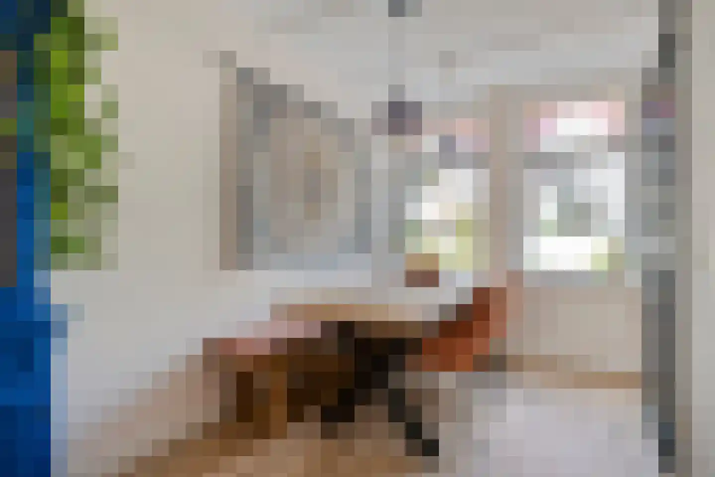 Zeglis 68 Alkmaar thumbnail 8