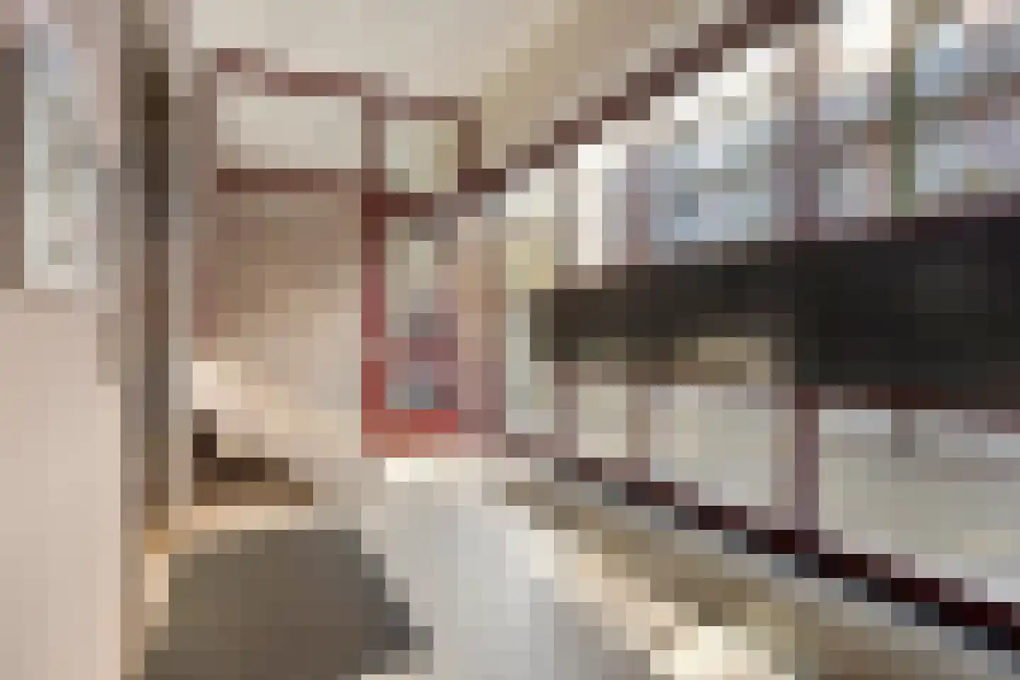 Zeguerslunet 11 C Maastricht thumbnail 8