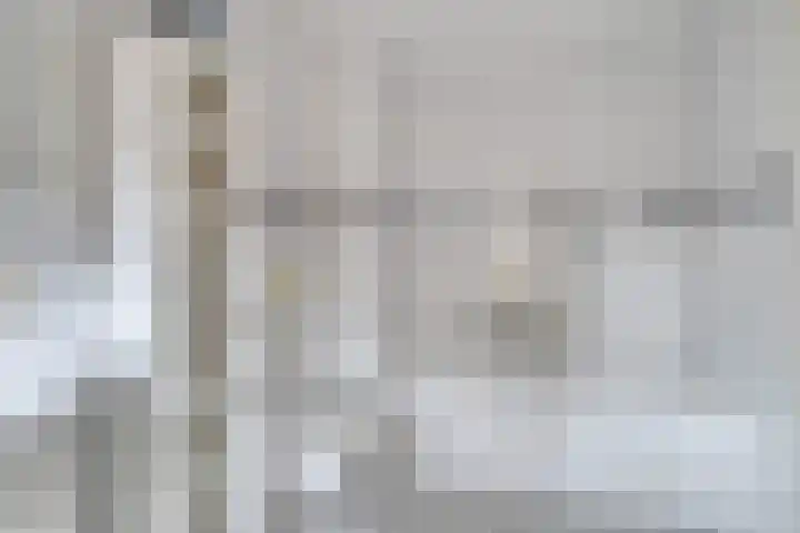 Zeguerslunet 12 E Maastricht thumbnail 15
