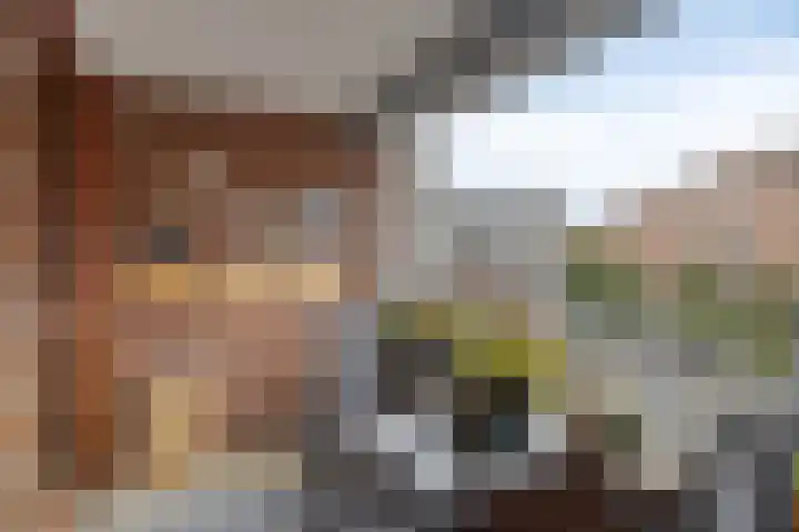 Zeguerslunet 12 E Maastricht thumbnail 17