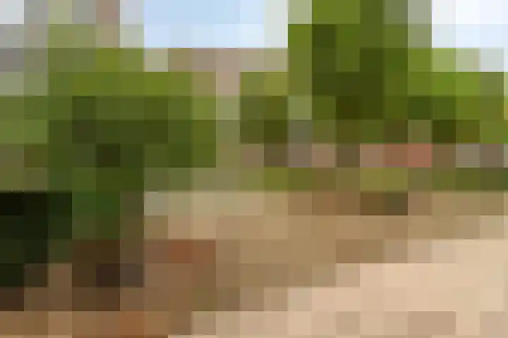 Zeguerslunet 12 E Maastricht thumbnail 21