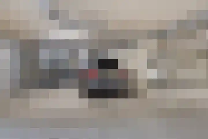 Zeguerslunet 12 E Maastricht thumbnail 24