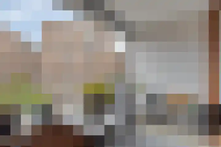 Zeguerslunet 12 E Maastricht thumbnail 4