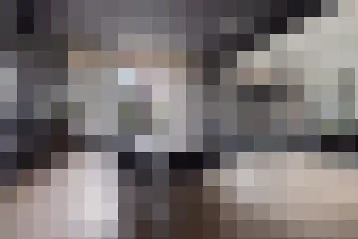 Zeguerslunet 12 E Maastricht thumbnail 7