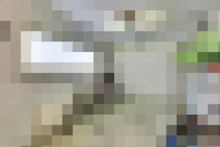 Zegveldseschans 10 Nieuwegein thumbnail 15
