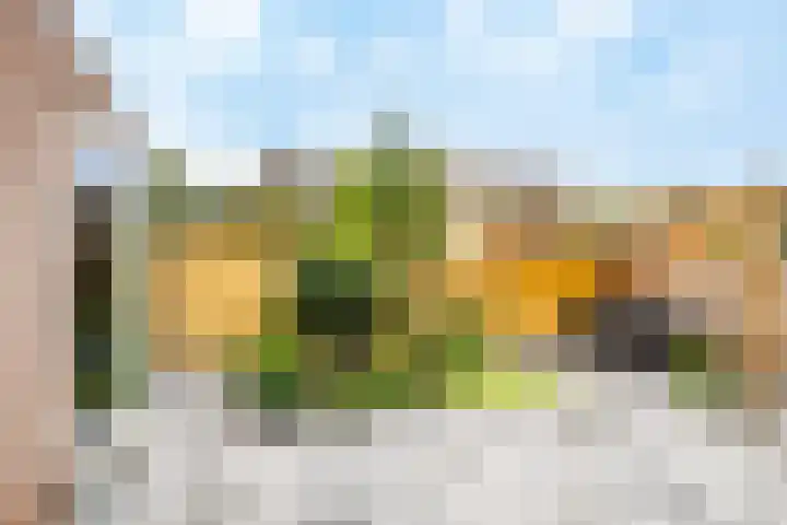 Zegveldseschans 10 Nieuwegein thumbnail 41