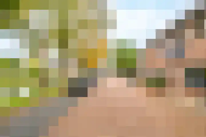 Zegveldseschans 10 Nieuwegein thumbnail 42