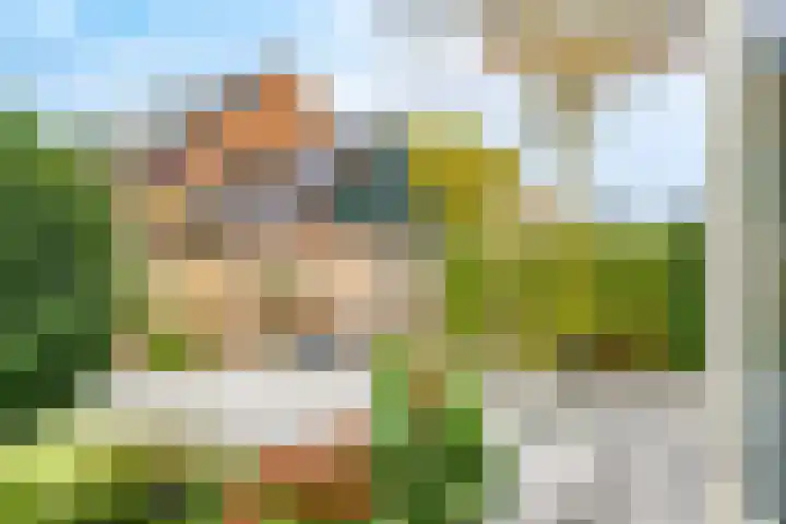 Zegveldseschans 10 Nieuwegein thumbnail 43