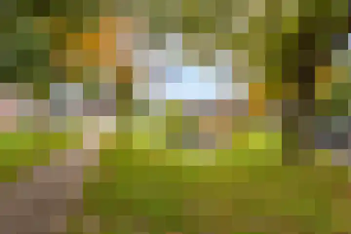 Zegveldseschans 10 Nieuwegein thumbnail 46