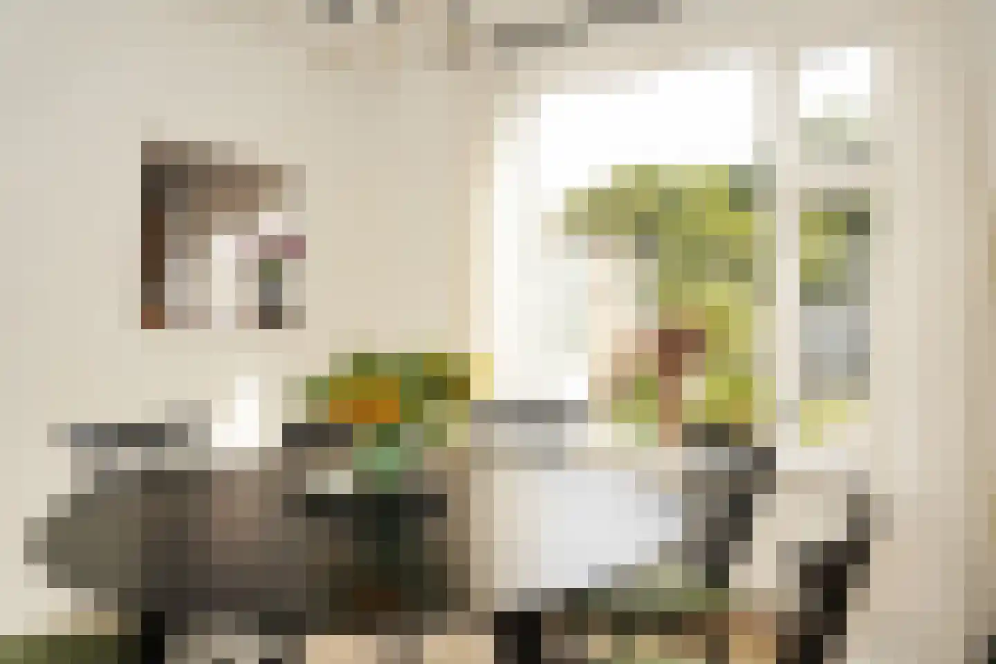 Zegveldstraat 3 Zuidzande thumbnail 12