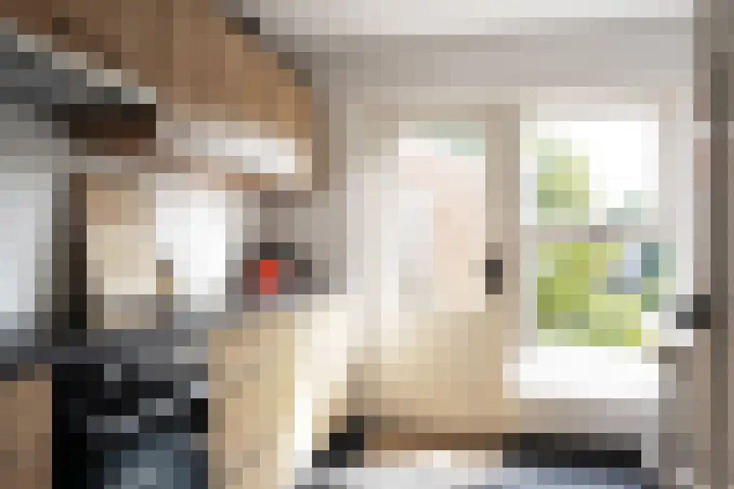 Zegveldstraat 3 Zuidzande thumbnail 16
