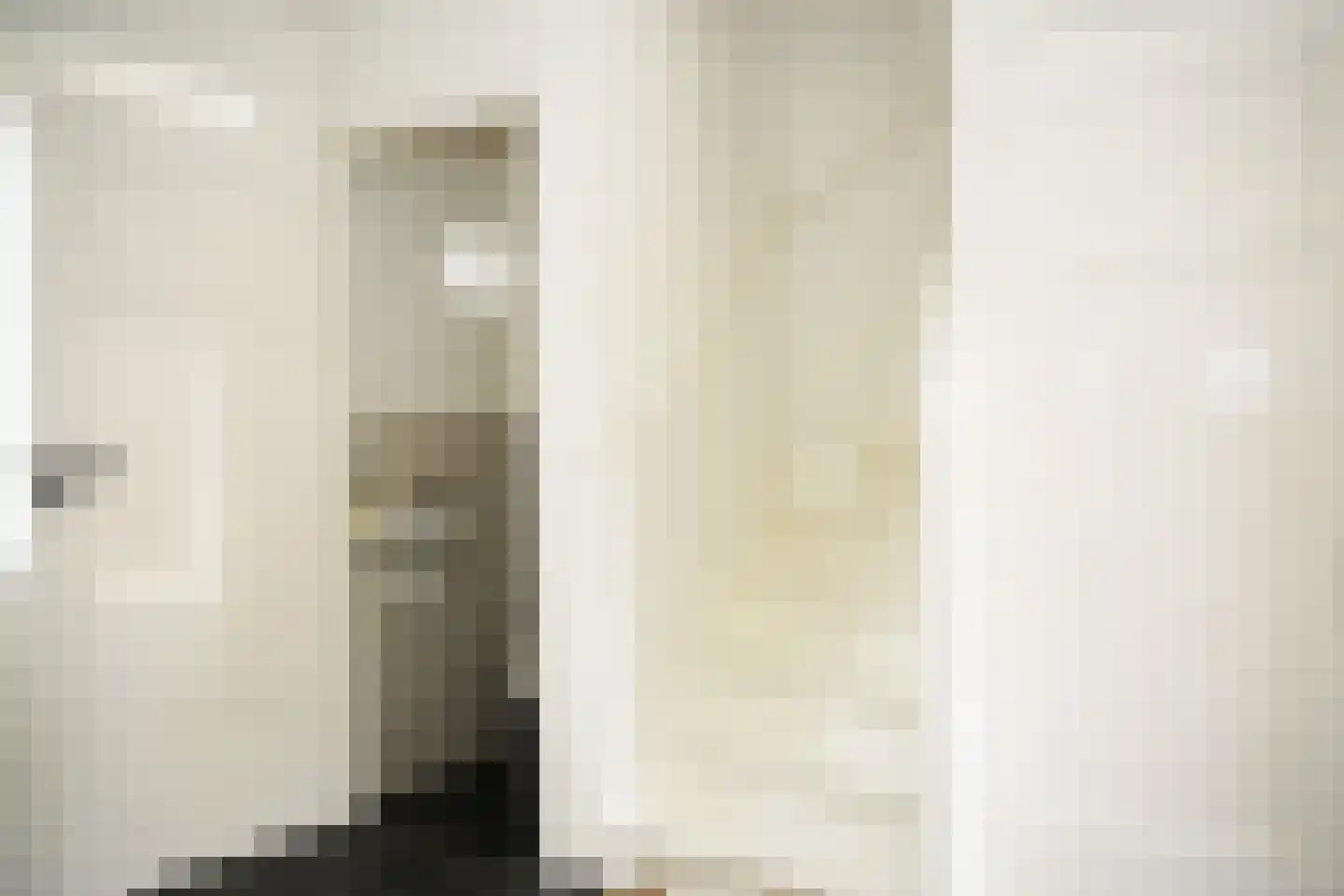 Zegveldstraat 3 Zuidzande thumbnail 20