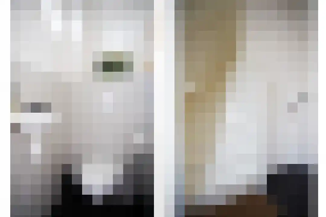 Zegveldstraat 3 Zuidzande thumbnail 21
