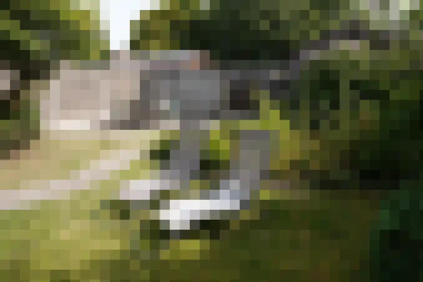 Zegveldstraat 3 Zuidzande thumbnail 37