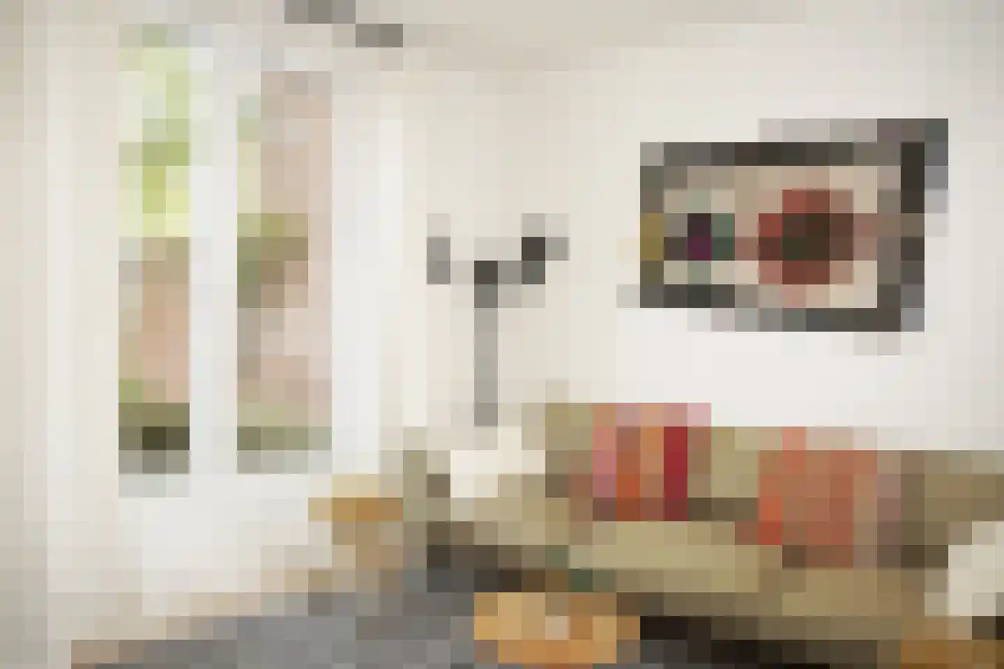 Zegveldstraat 3 Zuidzande thumbnail 6