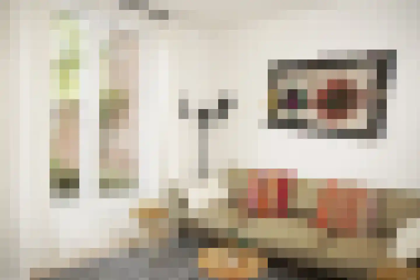 Zegveldstraat 3 Zuidzande thumbnail 7
