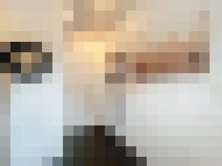 Zegveldstraat 5 Zuidzande thumbnail 4