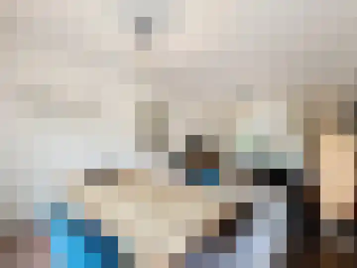 Zegveldstraat 5 Zuidzande thumbnail 5