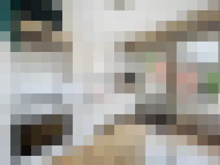 Zegveldstraat 7 Zuidzande thumbnail 8