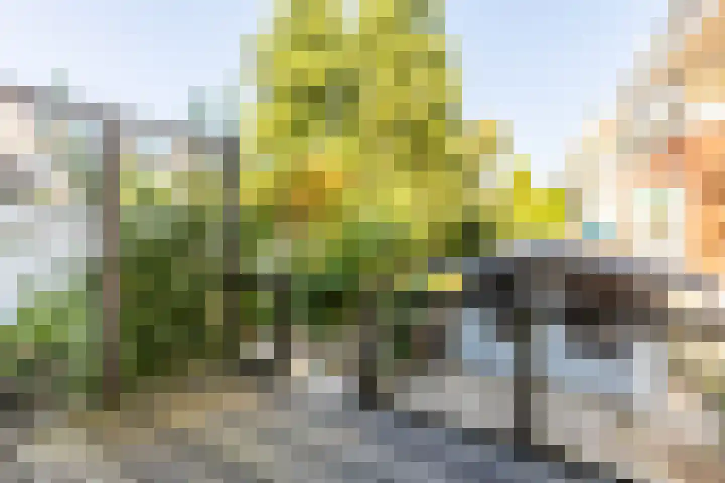 Zegwaardstraat 3 Rotterdam thumbnail 10