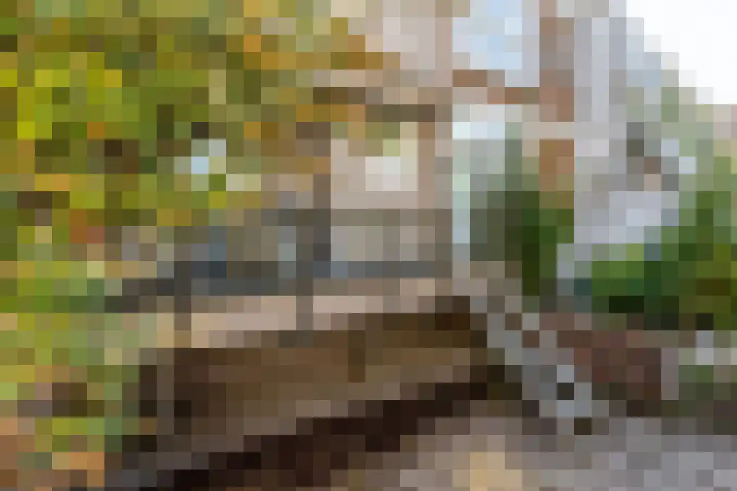 Zegwaardstraat 3 Rotterdam thumbnail 11