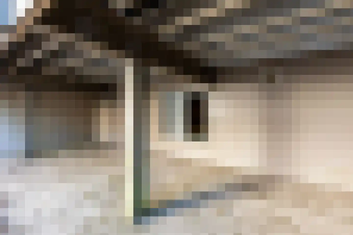 Zegwaardstraat 3 Rotterdam thumbnail 12