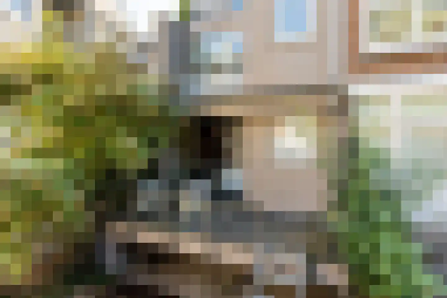 Zegwaardstraat 3 Rotterdam thumbnail 13